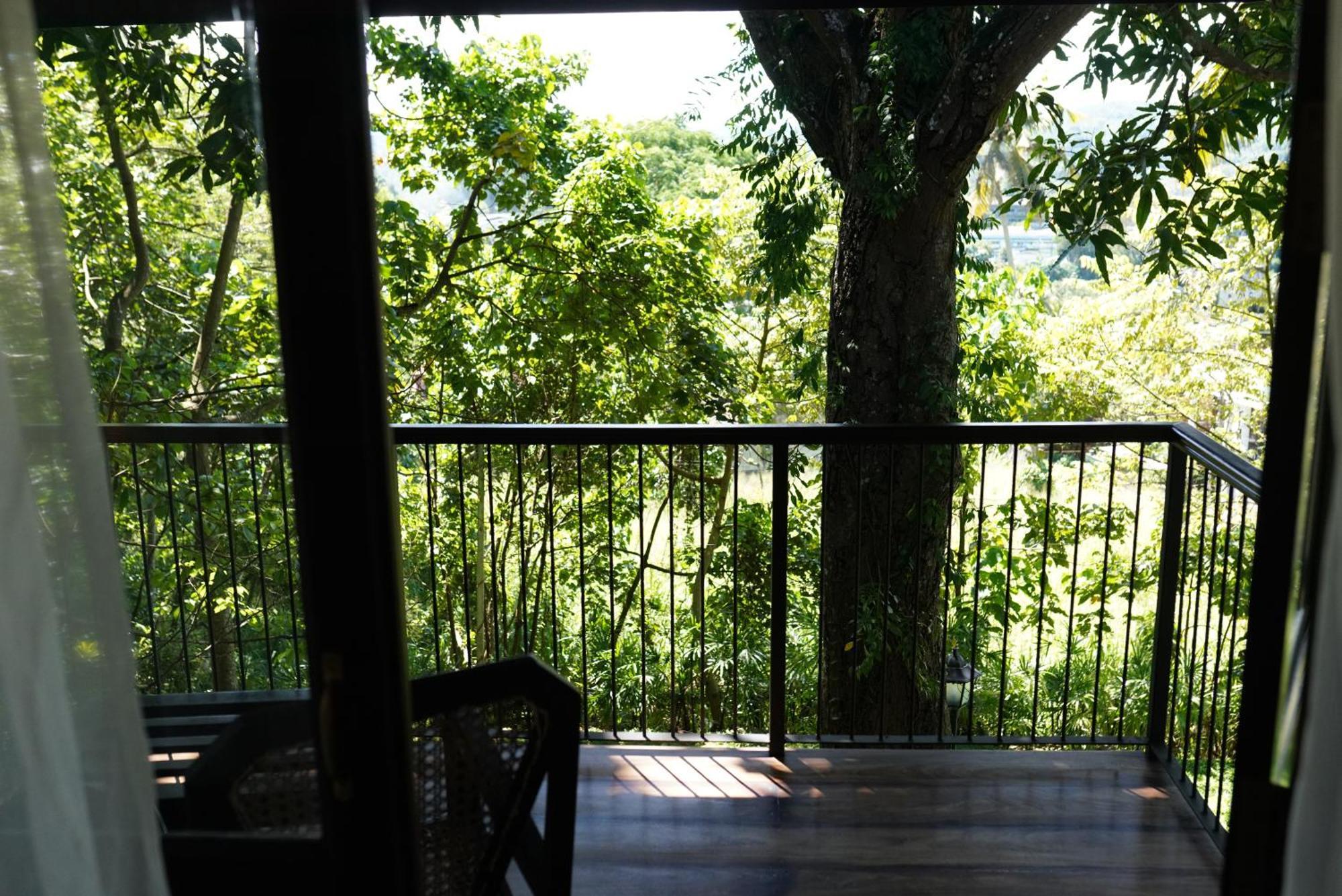 Hotel The Grand Walawwa Pinnawala  Esterno foto